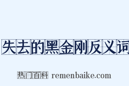 失去的黑金刚反义词是什么意思的图片